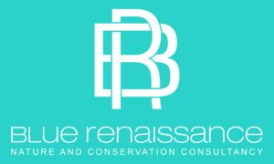 Blue Renaissance