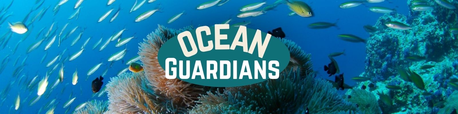 Skill builder Camp: Ocean Guardians (14-19 Years Old)