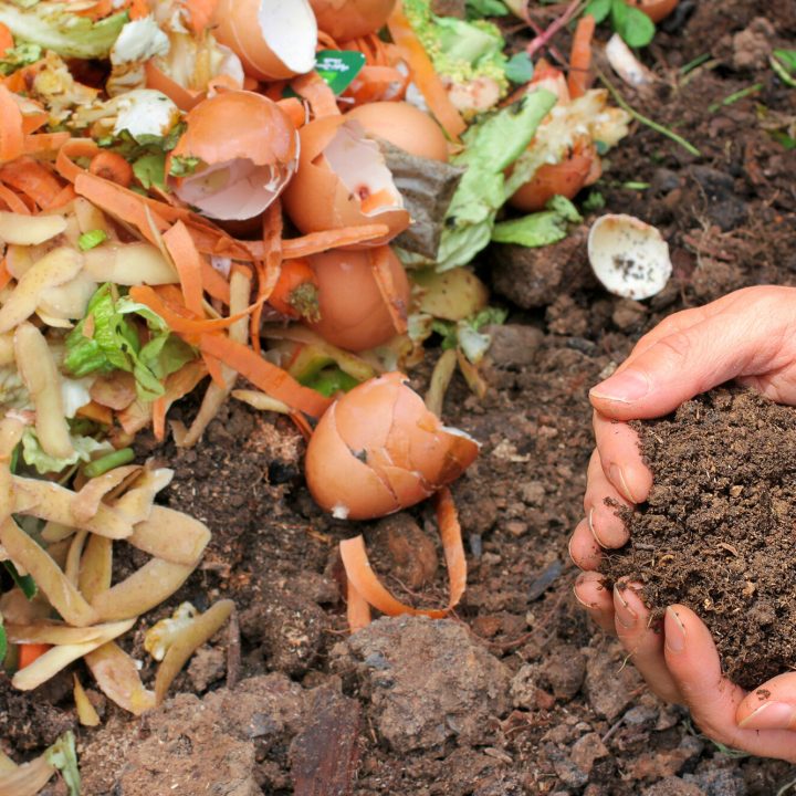 Compost with composted earth
